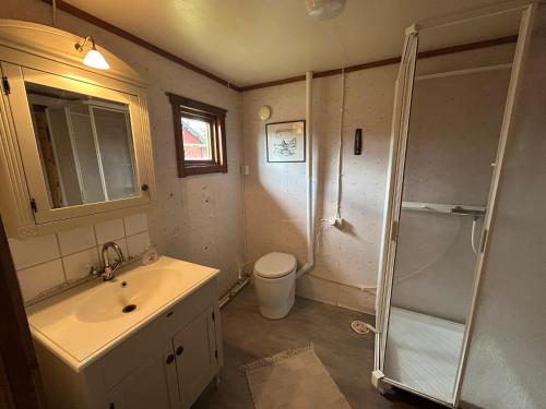 ein Badezimmer mit Waschbecken, Dusche und Toilette in der Unterkunft Farmstay Götes Cabin, 2p in Årjäng