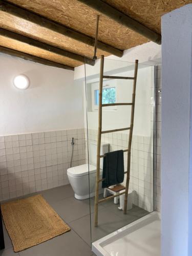 a bathroom with a ladder and a toilet at Monte da Palmeira in Vila Nova da Baronia