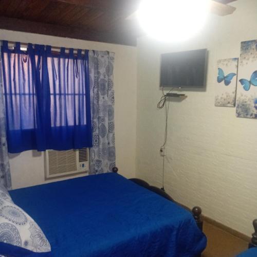 a bedroom with a blue bed and a television at Punto Descanso in Corrientes