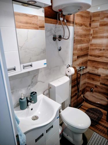 a bathroom with a toilet and a sink and a mirror at Apartman DimDam in Veliko Gradište