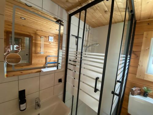 a bathroom with a shower and a sink at Charmantes Ferienhäuschen in Beetz - in 5 Minuten am See und im Wald in Kremmen