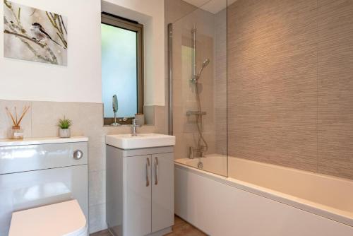 a bathroom with a toilet and a sink and a shower at 2 Bed in Colchester oc-82397 in East Bergholt