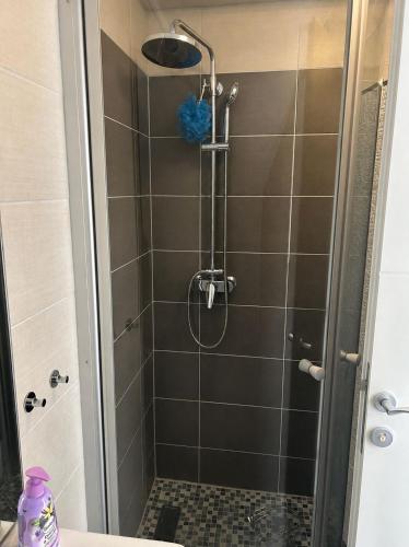 a shower with a glass door in a bathroom at Apartment Barba in Bribir