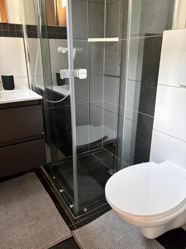a bathroom with a toilet and a glass shower at Zimmer-Enjoy in Altenahr