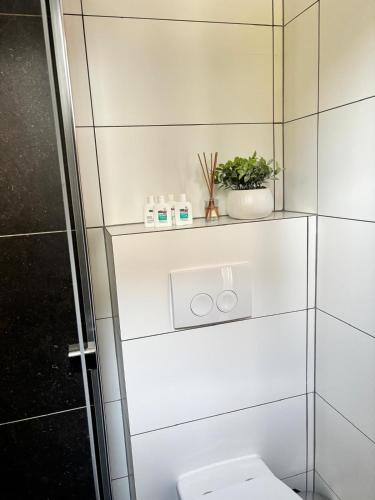 a bathroom with a toilet and a plant on a shelf at Zimmer-Enjoy in Altenahr