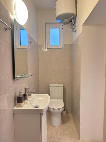 a bathroom with a toilet and a sink and a mirror at Spiros apartment - Loggos, Paxos in Longós