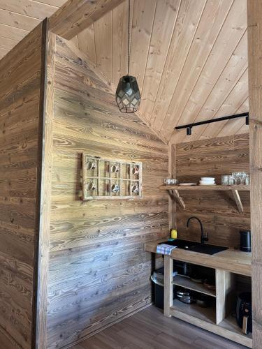 a kitchen with wooden walls and a counter with a sink at Apartament pod Świerkami in Witów