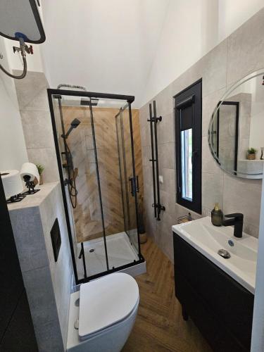 a bathroom with a shower and a toilet and a sink at STAW się tu in Młyny