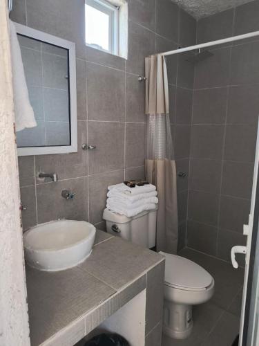 a bathroom with a sink and a toilet and a mirror at Centro Ecoturístico Rancho Buenavista in Nanacamilpa
