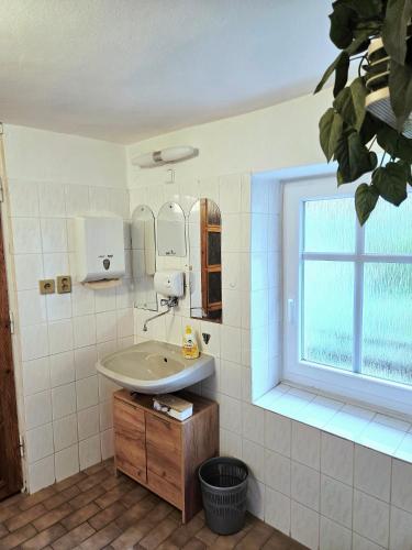 a bathroom with a sink and a window at Penzion ALENA in Pec pod Sněžkou