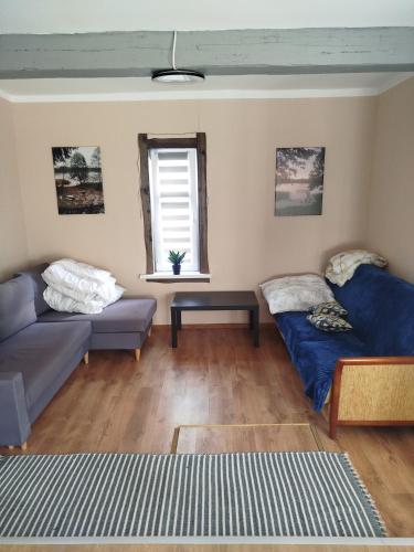 a living room with a couch and a table at Zakątek Wejsuny in Ruciane-Nida