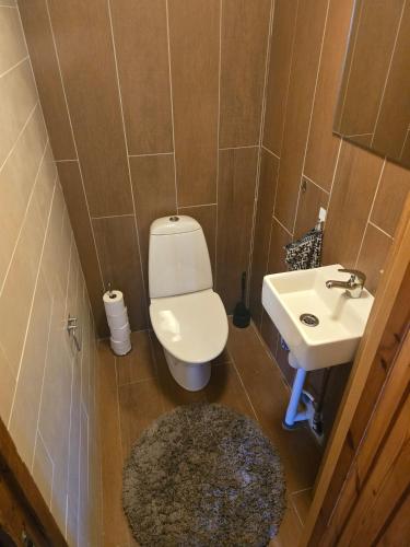 a small bathroom with a toilet and a sink at Tranan' in Karlsborg
