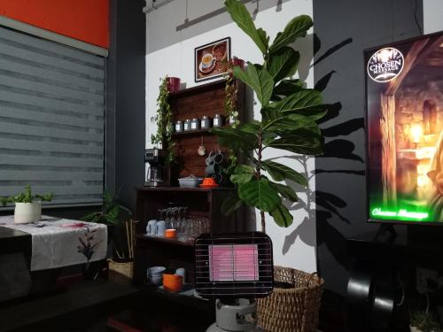 a room with a tv and a plant in it at Warm & Luxury Stay at Maboneng with Kingbed HugeTV WiFi in Johannesburg