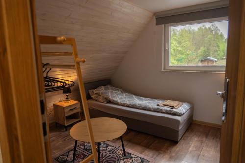 a small room with a bunk bed and a ladder at Domek letniskowy in Klusek Biały