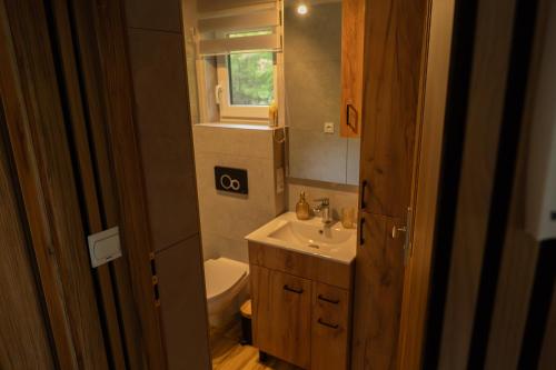 a bathroom with a sink and a toilet and a mirror at Domek letniskowy in Klusek Biały