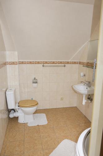 a bathroom with a toilet and a sink at Chata Adrian Slovak Paradise in Spišské Tomášovce