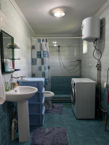 a bathroom with a sink and a shower and a toilet at Village stay in Kaindy