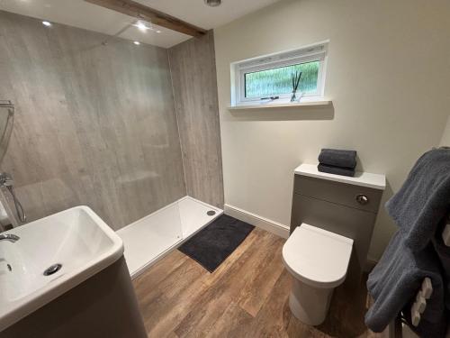 a bathroom with a sink and a toilet and a shower at Ash Tree Lodge in Norwich