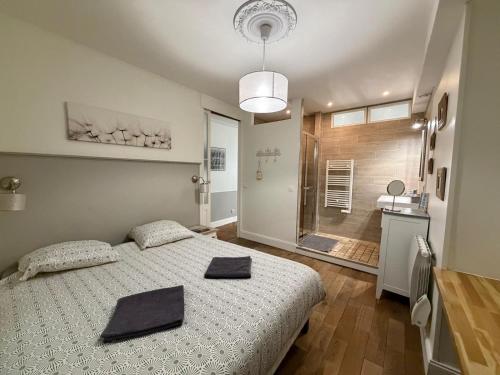 a bedroom with a bed and a bathroom with a shower at L'Appart D'Oli et Tiane in Bordeaux