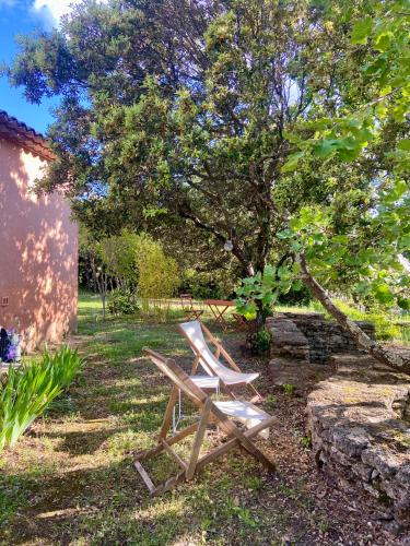 a wooden chair sitting in the grass under a tree at Les Iris in Bonnieux