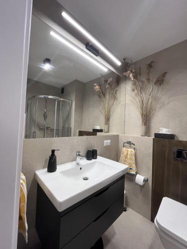 a bathroom with a white sink and a mirror at Golden Sun Apartment Grzybowo in Grzybowo
