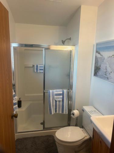 a bathroom with a shower with a toilet and a sink at Safehaven in Avon Park