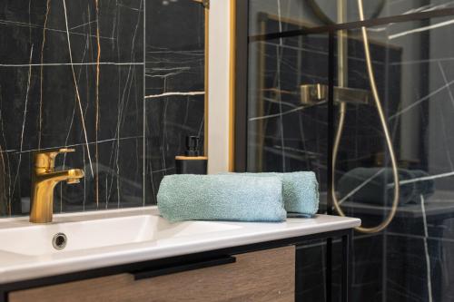 a bathroom with a sink and a shower at Le 29 - T2 Calme - Confortable - Centre-ville in Valenciennes