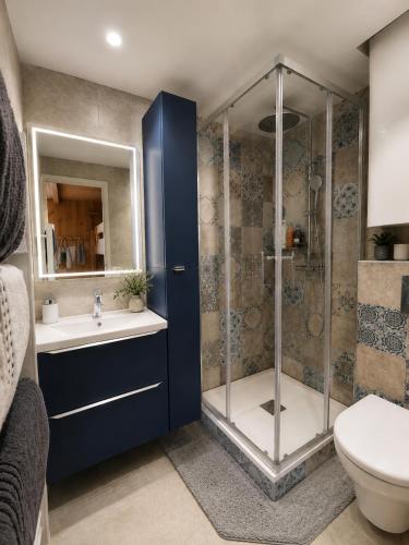 a bathroom with a shower with a sink and a toilet at Le cocon beuillois in Beuil