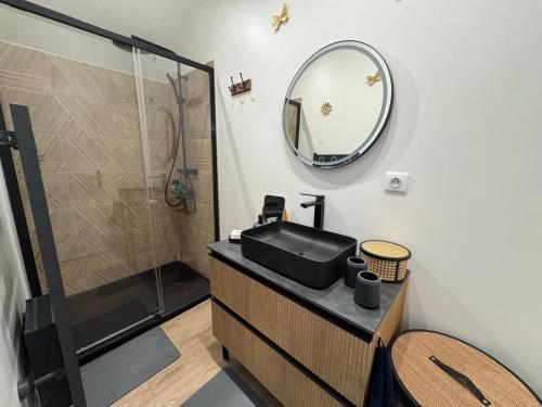 a bathroom with a sink and a mirror at Sarments et Bulles in Ambonnay
