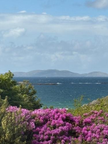 a view of the ocean from a field of flowers at Sandy Gardens House, Lettergesh Beach in Gowlaun