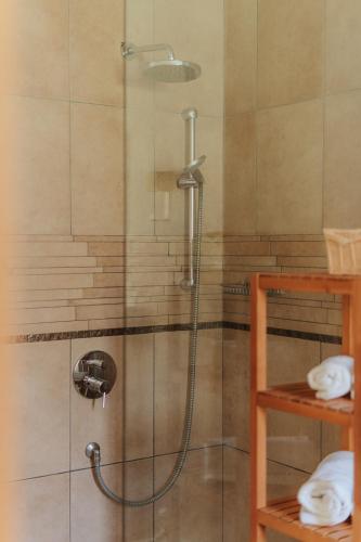 a shower with a shower head in a bathroom at Villa Maier B&B & Apartments in Soprabolzano