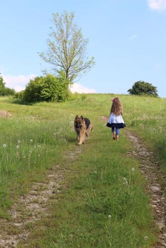a little girl and a dog walking down a dirt road at Agroturystyka Na Jamie in Posada Jaśliska