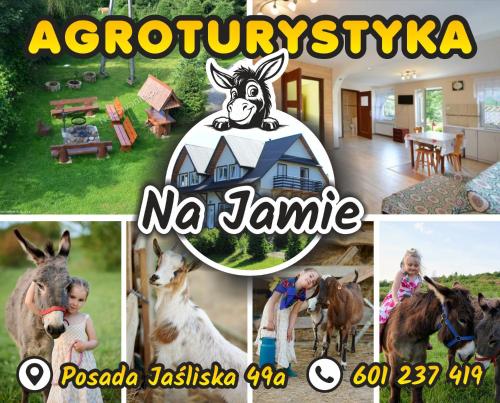 a collage of pictures of a house with a donkey and a child at Agroturystyka Na Jamie in Posada Jaśliska
