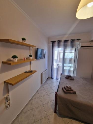 Diana's Cozy 31 Studio