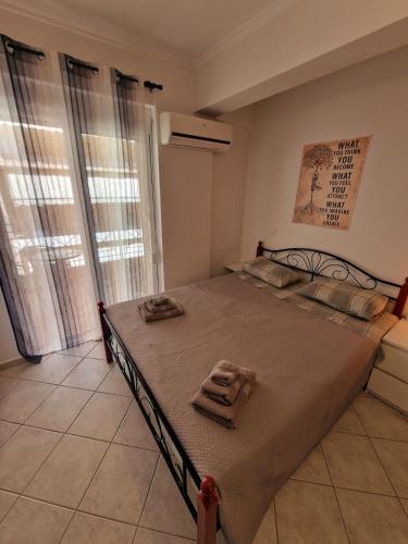 Diana's Cozy 31 Studio