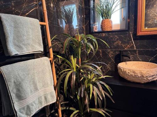 Caparica Surf Retreat