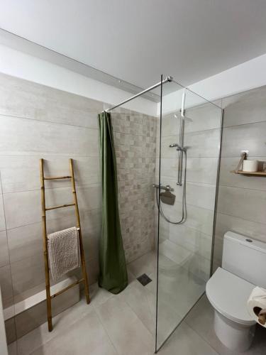 a bathroom with a glass shower with a toilet at O Ti Boneur in Sainte-Rose