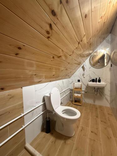 a bathroom with a toilet with a wooden ceiling at Apartments S&S in Žabljak