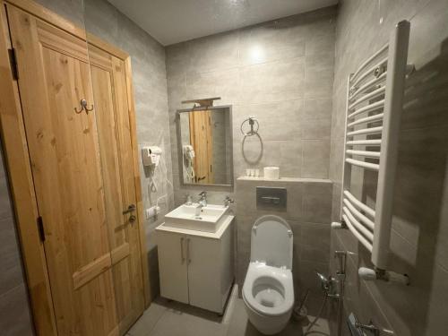 a bathroom with a toilet and a sink at Bakuriani Valley 10 in Bakuriani