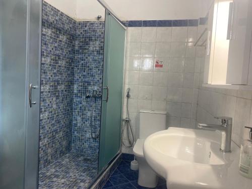 a bathroom with a shower and a sink and a toilet at Casa Koutrea in Kastanéa