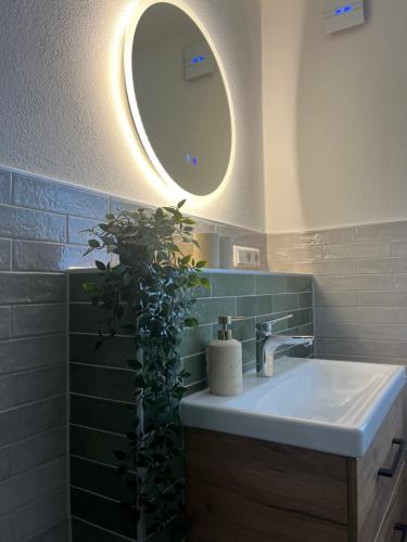 a bathroom with a sink and a mirror and a plant at Haus Wally - Ferienwohnungen in Klitten
