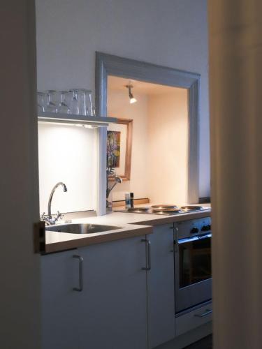 a kitchen with a sink and a counter top at Ferienwohnung Herrenhaus Linker Seitenflügel II - Boldevitzer Rügenkaten in Parchtitz