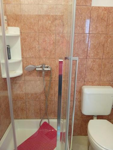 a shower in a bathroom with a toilet at Apartman Mare in Kaštela