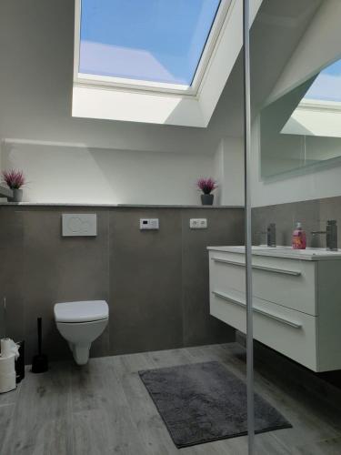 a bathroom with a toilet and a skylight at Haus Strandoase Nr 4 in Oldenburg in Holstein
