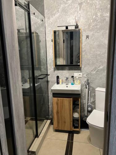 a bathroom with a sink and a shower and a toilet at Lake Relax in Chernihiv