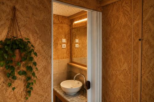 a bathroom with a sink and a mirror at Tiny House nearby Spa Francorchamps in Amblève