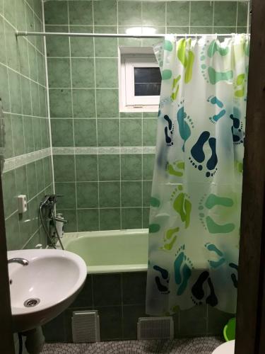 a bathroom with a sink and a shower curtain at Сколе Серце Карпат in Skole