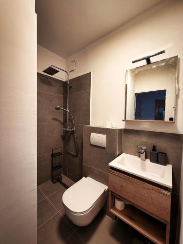 a bathroom with a toilet and a sink and a mirror at Apartman Blaga in Povlja