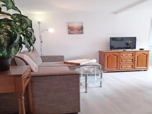 a living room with a couch and a tv at Ferienhaus Figelski in Sassnitz