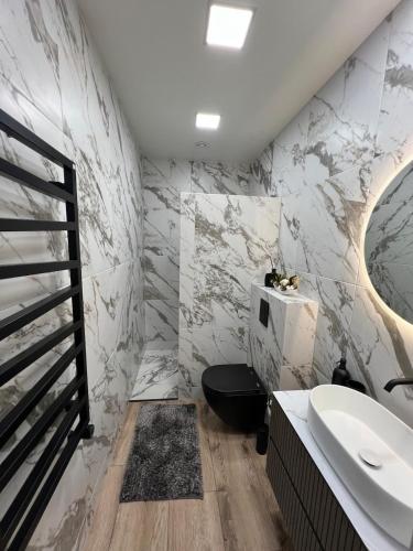 a bathroom with a sink and a toilet and a mirror at Cozy Home Oasis in Palanga